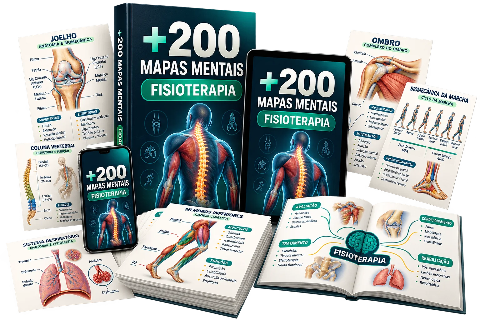 Coleção com mais de 200 mapas mentais de Fisioterapia